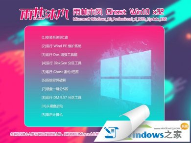 ľwindows10ҵ32λϵͳv2017.11