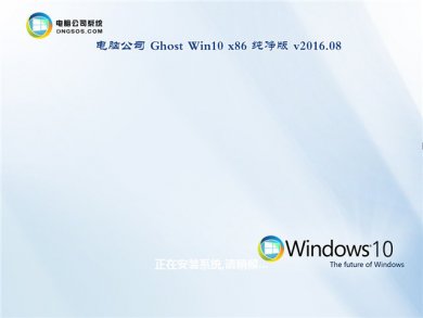 Թ˾windows101493132λ v2018.01