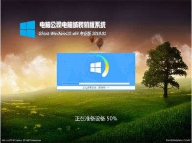 Թ˾win10רҵ64λisov1901